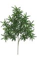 29" Podocarpus Branch - 438 Leaves - Green