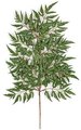 21" Lace Aralia Branch - 112 Leaves - Green  (sold by dozen)