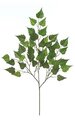 28" Birch Branch - 46 Leaves - Green