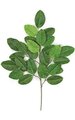 Earthflora's 26 Inch Banyan Branch (Sold By The Dozen)-Fire Retardant