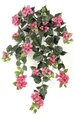 36" Hanging Bougainvillea Bush - 18 Flower Clusters - Fuschia