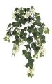 36 inches Outdoor Bougainvillea Bush- 18 Flower Clusters - 19 inches Width - Cream
