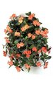 27 inches Impatiens Bush - 417 Leaves - 62 Flowers - 5 Buds - Coral