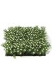 10 inches Plastic Grass with Gypso - 2.5 inches Height - Green/White