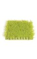 10 inches Plastic Leaf Grass - 1.5 inches Height - Light Lime Green