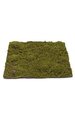 13.5" Plastic Moss Mat - 13.5" Square - Green/Brown
