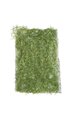 20" x 12" Plastic Sea Grass Mat on Net Backing - Green/Yellow
