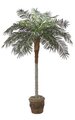 7' Phoenix Palm Outdoor - Synthetic Trunk - 24 Fronds - Green - Bare Trunk