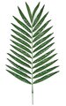 53" Coconut Palm Branch - 23 Leaves - Green