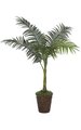 4' Areca Palm - Synthetic Trunk - 5 Fronds - Green - Bare Trunk