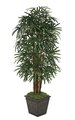 7' Lady Palm - 7 Natural Trunks - 170 Fronds - Green - Weighted Base