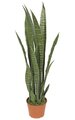 37" Plastic Sansevieria - 21 Dark Green Leaves - Weighted Base