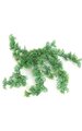 9" Plastic Hanging Spikemoss - 10 Stems - 207 Green Leaves
