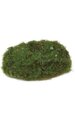 5.5 inches x 4 inches Foam Moss - Green