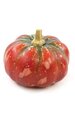 Foam Gourd - 4 inches Height - 4 inches Diameter - Red/Green