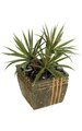 22" Plastic Star Succulent/Aloe Bush - 60 Green/Red Leaves - 21" Width - Weighted Base