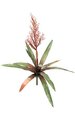 25" Bromeliad - Natural Touch - 12 Leaves - 1 Flower - 24" Width - Red/Yellow