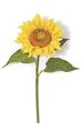 37 inches Giant Sunflower Stem - Gold/Yellow Flower - 10 inches Width