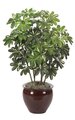 4 feet Baby Schefflera - 544 Leaves - Green/Yellow - Bare Stem
