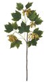 Norway Maple Branch - 12 Green Leaves - 4 Sets of Mustard Flowers