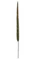 41 inches Feather Stem - Green