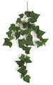 35" English Ivy Vine - 38 Leaves - Green
