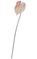 30 inches Anthurium Spray - Soft Touch - 1 Flower - Pink