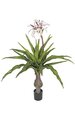 55" Fire- safe Crinum Plant - 22 Green Leaves - 3 White/Fuchsia Flowers - 6 Red Buds - 48" Width