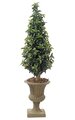 5' Outdoor Laurel Cone Topiary - Natural Trunk - Green - Weighted Base
