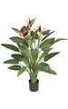 55" Bird of Paradise Plant - 32 Green Leaves - 3 Orange Flowers - 1 Bud - Weighted Base