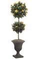 6' Hibiscus Artificial Topiary - Double Ball - Natural Trunk - 876 Leaves - 33 Peach Flowers - Weighted Base