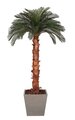 9' Cycas Palm Tree - Natural Boot Trunk - 36 Fronds - Bare Trunk
