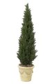 6' Polyblend Cedar Pine Tree 16" Wide - Synthetic Trunk - 2,492 Green Leaves - Weighted Base