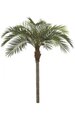 11 feet Coconut Palm - Synthetic Trunk - 10 Fronds - Green - Weighted Base