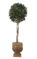 5.5' Artificial Bay Leaf Ball Topiary - Natural Trunks - 1,628 Leaves - Green - Weighted Base