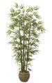 6 Foot Captivating faux Bamboo Palm - Natural Green Canes - 1,080 Leaves - Weighted Base