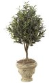 36 inches Artificial Olive Tree - Natural Trunk - 1,040 Leaves - Weighted Base - CUSTOM-MADE