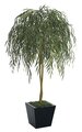 6' Willow Tree - Natural Trunk - 1,470 Green Leaves - 40" Width - Weighted Base