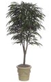 7 feet Ficus Alii Tree - Natural Trunk - 1,261 Leaves - Green - Weighted Base