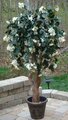 EF-600 Custom Made Polyblend Flowering Bougainvillea Tree Comes from 4 to 7 feet Made in 5 different colors