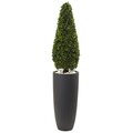 Outdoor Boxwood Topiary 