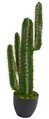Cactus Desert Artificial Plant 