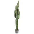 63" Cactus Plant in Plastic Planter Green