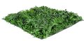 40 inches Wide  40 inches wide  Outdoor Plastic Artificial Living Wall 