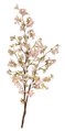 5.5' Cherry Blossom Tree - Natural Wood - 294 Flowers