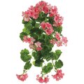 UV Outdoor  Protected Geranium 