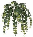 24 Inch Outdoor UV Hanging English Ivy Vine