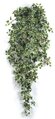48 inches Sage Ivy Bush - 547 Leaves
