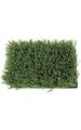 Outdoor Sports Turf Grass - 15' Width - 2" Height - Green