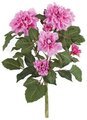 22 inches Dahlia Bush - 6 Flowers - Orchid/Beauty - Bare Stem